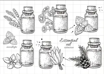 ZFPARTY Plant Extract Transparent Clear Silicone Stamp/Seal for DIY scrapbooking/photo album Decorative card making
ZFPARTY Plant Extract Transparent Clear Silicone Stamp/Seal for DIY scrapbooking/photo album Decorative card making