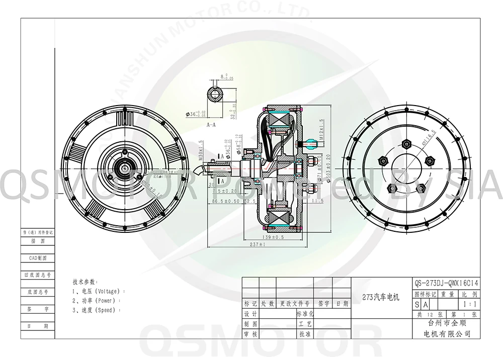 273 e-car hub motor
