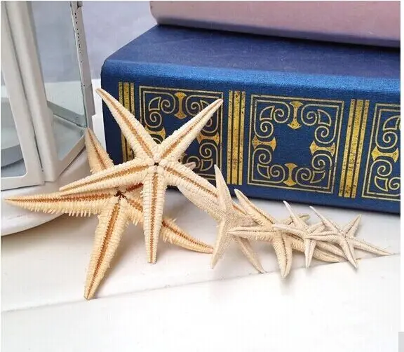 100pcs/lot Natural Artificial Starfish Platform Ornament Accessories wedding decoration sea star
100pcs/lot Natural Artificial Starfish Platform Ornament Accessories wedding decoration sea star
