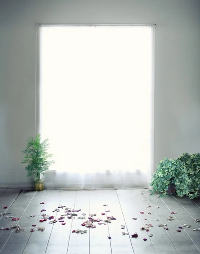 5x7ft Wooden Floor Green Leaf Photography Backdrops Photo Props Studio Background
5x7ft Wooden Floor Green Leaf Photography Backdrops Photo Props Studio Background