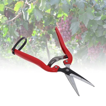 Plant Pruning Scissors Garden Cutter Flower Branch Shears Hand Pruner Tool 
Plant Pruning Scissors Garden Cutter Flower Branch Shears Hand Pruner Tool