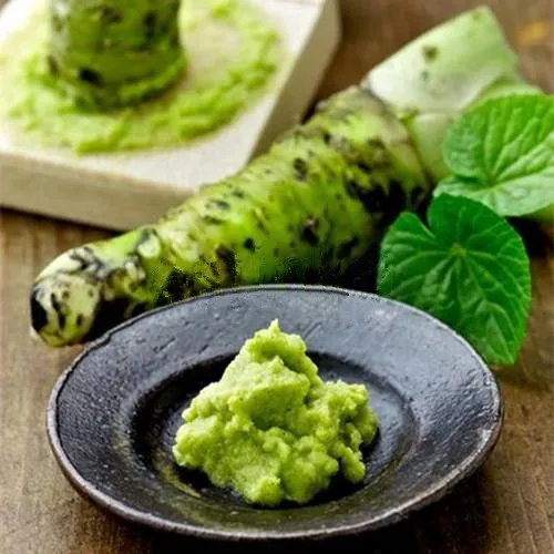 Wasabi bonsai 100pcs/bag Japanese Horseradish plants Vegetable Wasabia Japonica Home Garden Bonsai Plants DIY Free Shipping
Wasabi bonsai 100pcs/bag Japanese Horseradish plants Vegetable Wasabia Japonica Home Garden Bonsai Plants DIY Free Shipping