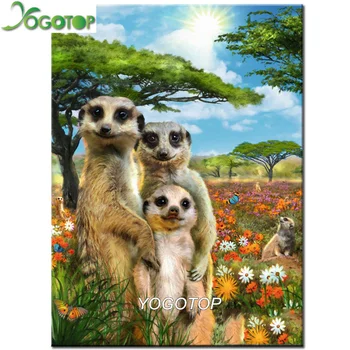 YOGOTOP diy Diamond Painting round drill Daimant Painting Animal "Meerkat"Full Rhinestones mosaic puzzle 5d Embroidery art YY743
YOGOTOP diy Diamond Painting round drill Daimant Painting Animal "Meerkat"Full Rhinestones mosaic puzzle 5d Embroidery art YY743