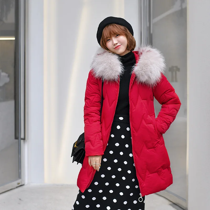 2019 Winter Women's Parka Collection Windproof Women's Thick Coat European Style Fur Collar Women's Warm Jacket
2019 Winter Women's Parka Collection Windproof Women's Thick Coat European Style Fur Collar Women's Warm Jacket