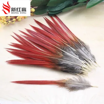 200pcs/lot 10-14cm pheasant feathers red sword rare natural bulk feather fly fishing tying Hat accessories material
200pcs/lot 10-14cm pheasant feathers red sword rare natural bulk feather fly fishing tying Hat accessories material