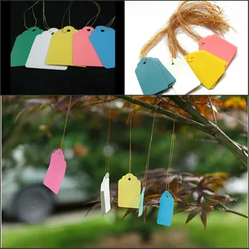 Wholesale Gardening Accesories Flowers Tags/Plant Labels PVC Plant Sticker/Sign 400pcs/lot
Wholesale Gardening Accesories Flowers Tags/Plant Labels PVC Plant Sticker/Sign 400pcs/lot