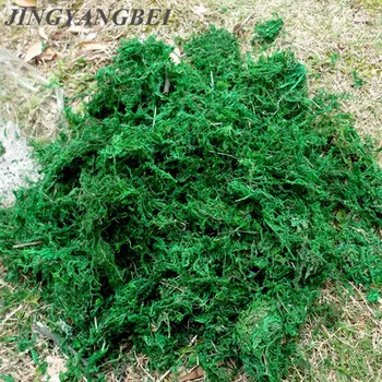 Natural 50g-100g bag dry real green moss decorative plants vase artificial turf silk Flower accessories for flowerpot decoration
Natural 50g-100g bag dry real green moss decorative plants vase artificial turf silk Flower accessories for flowerpot decoration