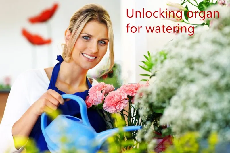 Human secrets escape props office Unlock the flowers Water flow mechanism Human electric bridge
Human secrets escape props office Unlock the flowers Water flow mechanism Human electric bridge