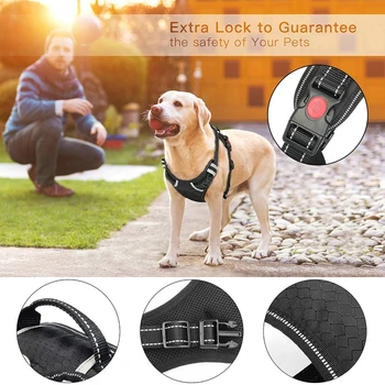 S/M/L/XL Pet Dog Harness Puppy Breathable Adjustable Walking Vest With Handle & Reflective Stripes
S/M/L/XL Pet Dog Harness Puppy Breathable Adjustable Walking Vest With Handle & Reflective Stripes