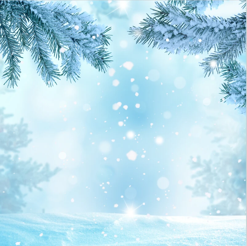 SHANNY 10x10ft Vinyl Custom Photography Backdrops Prop Christmas day theme Background HUC-047
SHANNY 10x10ft Vinyl Custom Photography Backdrops Prop Christmas day theme Background HUC-047
