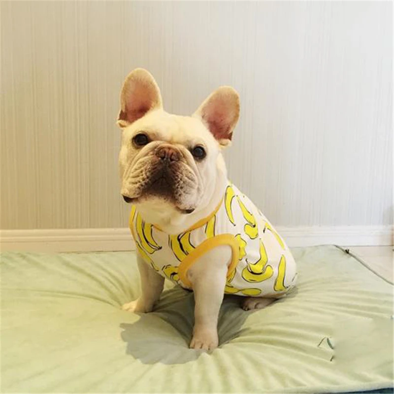 Big Dogs Clothes French Bulldog Clothing Outfit For Pets Clothes Costume Dog Coat Jacket honden kleding franse bulldog chien
Big Dogs Clothes French Bulldog Clothing Outfit For Pets Clothes Costume Dog Coat Jacket honden kleding franse bulldog chien