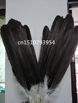 wholesale high quality 100pcs scare Natural big eagle feathers 40-50cm/16-20inch Decorative diy Jewelry accessories
wholesale high quality 100pcs scare Natural big eagle feathers 40-50cm/16-20inch Decorative diy Jewelry accessories