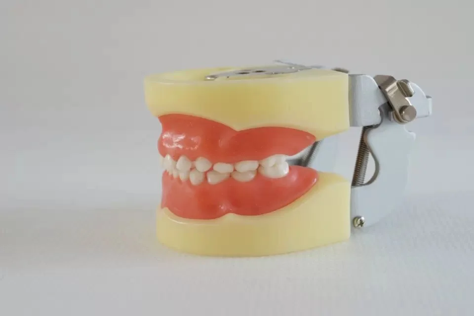 A3 Standard Child Model