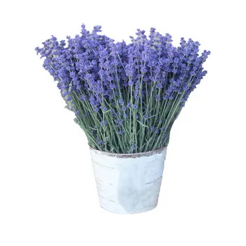 100gr Lavender Dried Ultra Blue Bundles for Home Decor, Crafts, Gift,Wedding or Any Occasion
100gr Lavender Dried Ultra Blue Bundles for Home Decor, Crafts, Gift,Wedding or Any Occasion
