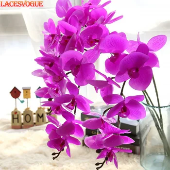 Artificial Flowers Film Phalaenopsis Bonsai Flores Garden Decoration Mall Simulation Flower Foreign Trade Home Decoration 4PCS
Artificial Flowers Film Phalaenopsis Bonsai Flores Garden Decoration Mall Simulation Flower Foreign Trade Home Decoration 4PCS