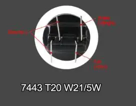 7443