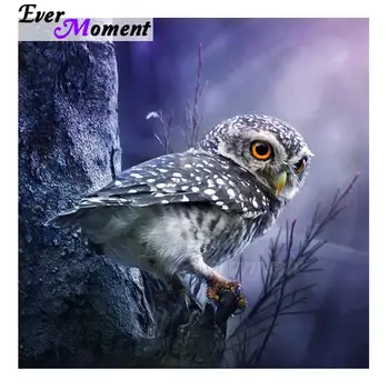 Ever Moment Diamond Painting Handmade Owl on Tree Mosaic Full Square Drill Mosaic Picture Of Rhinestone Diamond Embroidery 3F649
Ever Moment Diamond Painting Handmade Owl on Tree Mosaic Full Square Drill Mosaic Picture Of Rhinestone Diamond Embroidery 3F649