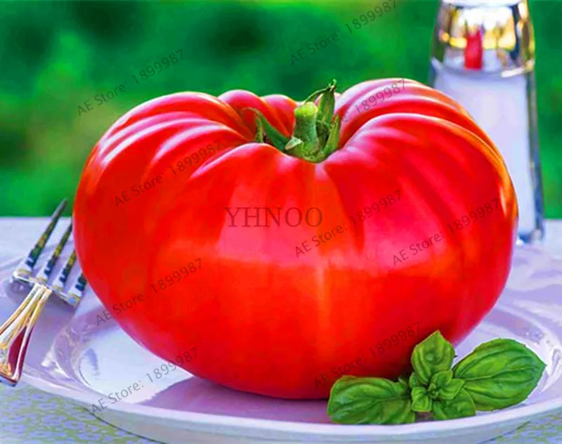 Time-Limit!!100 pcs/bag giant tomato Plantas, Rare Beefsteak Tomato floresling DIY Vegetable bonsai plants for home garden,#A13A
Time-Limit!!100 pcs/bag giant tomato Plantas, Rare Beefsteak Tomato floresling DIY Vegetable bonsai plants for home garden,#A13A
