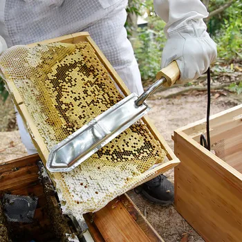 Exquisite Electric Opening Device Removes Wax From The Frame With Honey wooden handle plus stainless steel Electric honey shovel
Exquisite Electric Opening Device Removes Wax From The Frame With Honey wooden handle plus stainless steel Electric honey shovel