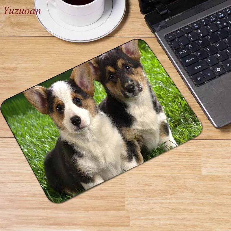 16dogs-thought-lost-dog-widescreen-wallpaper-1920x1080 (6)