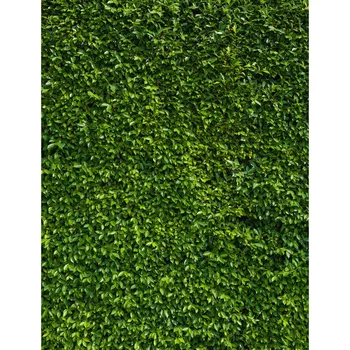 Vinyl green grass wall photo studio backgrounds for newborn children portrait photography photographic backdrops
Vinyl green grass wall photo studio backgrounds for newborn children portrait photography photographic backdrops