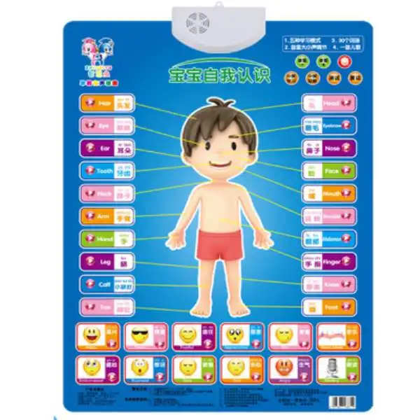 Sound Wall Chart Electronic Alphabet Animal English Learning Machine Multifunction Preschool Toy Audio Digital Educational Toy
Sound Wall Chart Electronic Alphabet Animal English Learning Machine Multifunction Preschool Toy Audio Digital Educational Toy