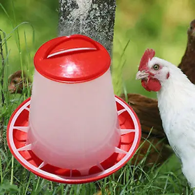 Practical Chicken Feeder Drinker Poultry Feed Multipurpose Water Waterer Automatic Drink Bird Grid White
Practical Chicken Feeder Drinker Poultry Feed Multipurpose Water Waterer Automatic Drink Bird Grid White