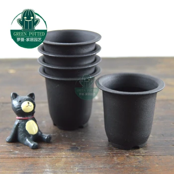 Vientiane scrub pot plastic flower pots succulents Sedum Yulu dedicated 30 / Bag
Vientiane scrub pot plastic flower pots succulents Sedum Yulu dedicated 30 / Bag