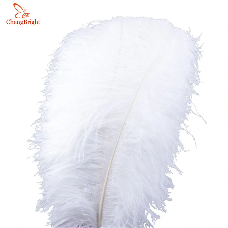 CHENGBRIGHT 10 Pcs/Lot Natural White Ostrich Feathers For Crafts 15-70CM Carnival Costumes Party Home Wedding Decorations Plumes
CHENGBRIGHT 10 Pcs/Lot Natural White Ostrich Feathers For Crafts 15-70CM Carnival Costumes Party Home Wedding Decorations Plumes