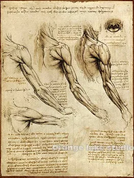 Da Vinci manuscript Vintage Dissection Painting Pure cotton Canvas Wall Art Picture Home Decoration Living Room Canvas Print A5
Da Vinci manuscript Vintage Dissection Painting Pure cotton Canvas Wall Art Picture Home Decoration Living Room Canvas Print A5