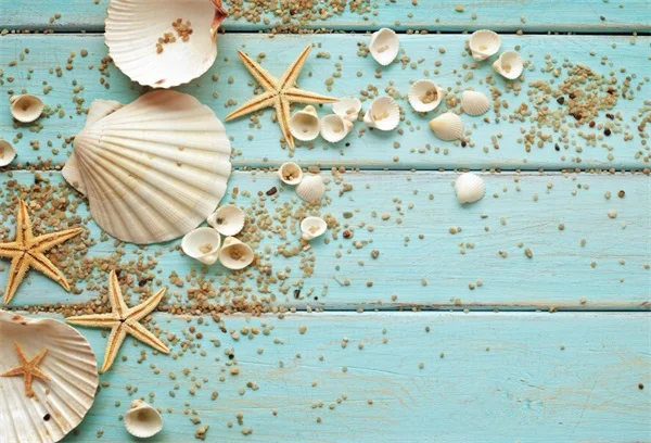 Laeacco Wooden Board Shell Starfish Baby Children Photographic Backgrounds Customized Photography Backdrops For Photo Studio
Laeacco Wooden Board Shell Starfish Baby Children Photographic Backgrounds Customized Photography Backdrops For Photo Studio