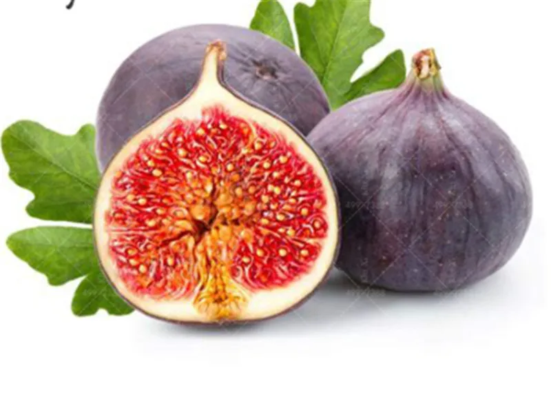 Free Shipping 500 Pcs Rare Tropical Fig bonsai Mini Fig Tree Bonsai Plants Outdoor Rare Fruit for Home Planting Germination
Free Shipping 500 Pcs Rare Tropical Fig bonsai Mini Fig Tree Bonsai Plants Outdoor Rare Fruit for Home Planting Germination