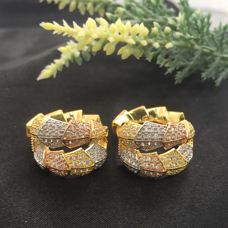 Lanyika Fashion Jewelry Simple and Clear Snake Irregular Earrings Full Micro inlay Micro Plated Banquet Popular Best Gift
Lanyika Fashion Jewelry Simple and Clear Snake Irregular Earrings Full Micro inlay Micro Plated Banquet Popular Best Gift