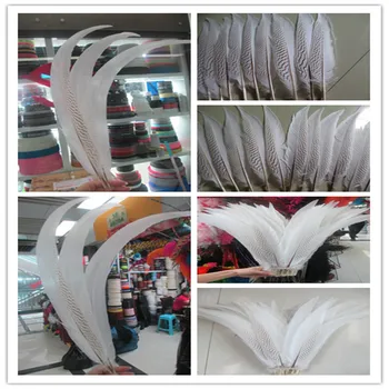 50pcs / lot high quality natural silver chicken feathers 40-75cm / 16-30 inch white feather stage celebration DIY decoration
50pcs / lot high quality natural silver chicken feathers 40-75cm / 16-30 inch white feather stage celebration DIY decoration