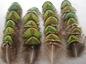 FREE shipping 10pcs rare gold peacock feathers 5-8 cm / 2-3 inches wedding party decoration
FREE shipping 10pcs rare gold peacock feathers 5-8 cm / 2-3 inches wedding party decoration