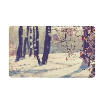 Winter Forest Anti-Slip Door Mat Home Decor Personalized Indoor Entrance Doormat
Winter Forest Anti-Slip Door Mat Home Decor Personalized Indoor Entrance Doormat