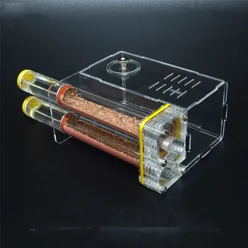 Pet ants/Two 20*150 mm bamboo nests in large activity area/Acrylic ant workshop ants farm house
Pet ants/Two 20*150 mm bamboo nests in large activity area/Acrylic ant workshop ants farm house