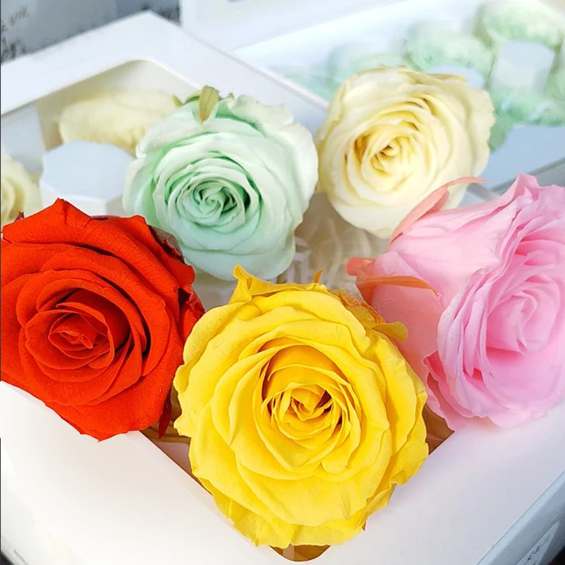 Preserved Flowers Flower Immortal Rose 3/4CM Diameter Valentine's Day Gift Eternal Life Flower Material
Preserved Flowers Flower Immortal Rose 3/4CM Diameter Valentine's Day Gift Eternal Life Flower Material