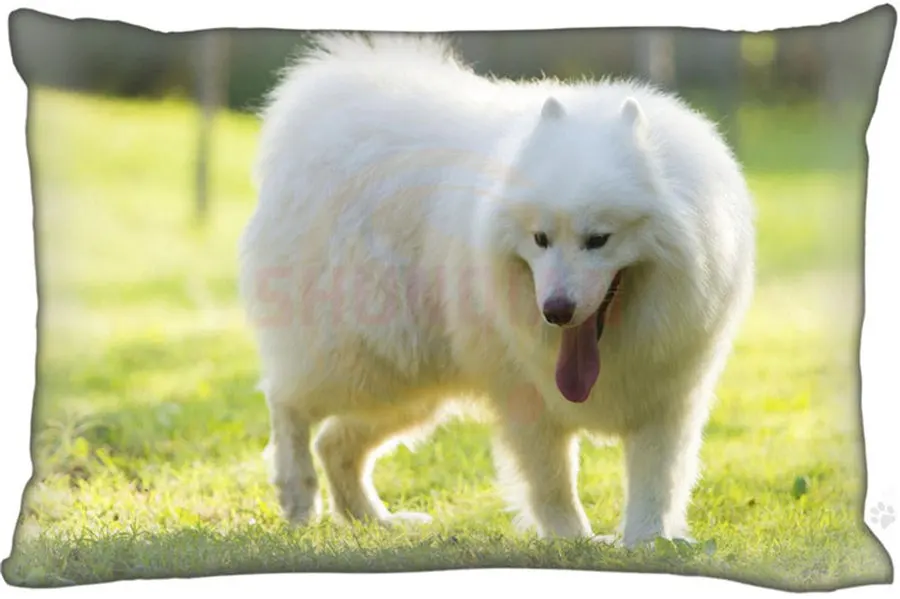 Новое поступление, Прямоугольная подушка Samoyed, модель чехол s (Двусторонняя), Подушка на молнии под заказ, больше размеров, под заказ, подарок с вашим изображением
Новое поступление, Прямоугольная подушка Samoyed, модель чехол s (Двусторонняя), Подушка на молнии под заказ, больше размеров, под заказ, подарок с вашим изображением