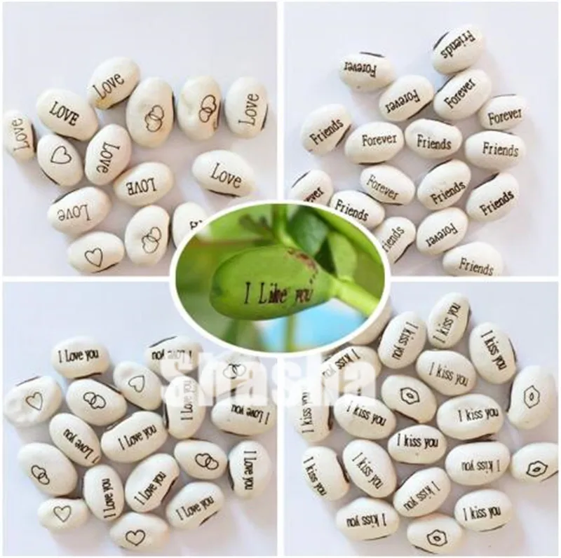 10 Pcs Magic Growing Message Beans Bonsais Magic Bean English Magic Bean Potted Green Office Home Decor for Flower Pot Planter
10 Pcs Magic Growing Message Beans Bonsais Magic Bean English Magic Bean Potted Green Office Home Decor for Flower Pot Planter