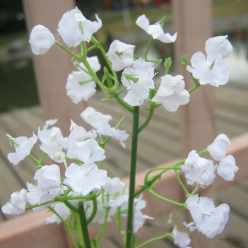 1 Pc Artificial Flowers Buds Stars Simulation Flower Silk Artificial Flowers For Home Wedding Decration Flowers Wedding
1 Pc Artificial Flowers Buds Stars Simulation Flower Silk Artificial Flowers For Home Wedding Decration Flowers Wedding
