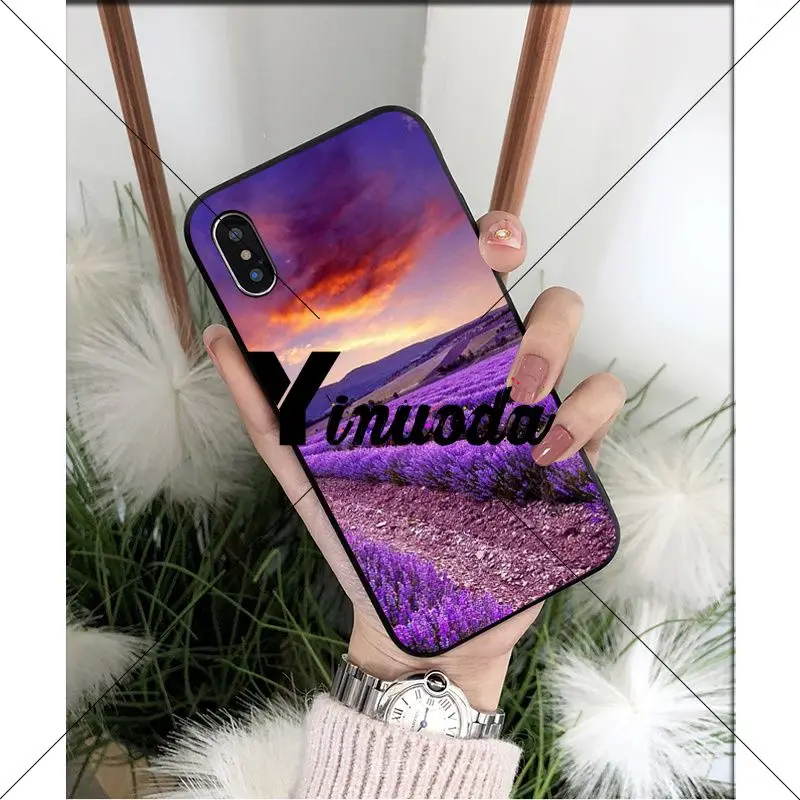 Simple lavender Purple flowers