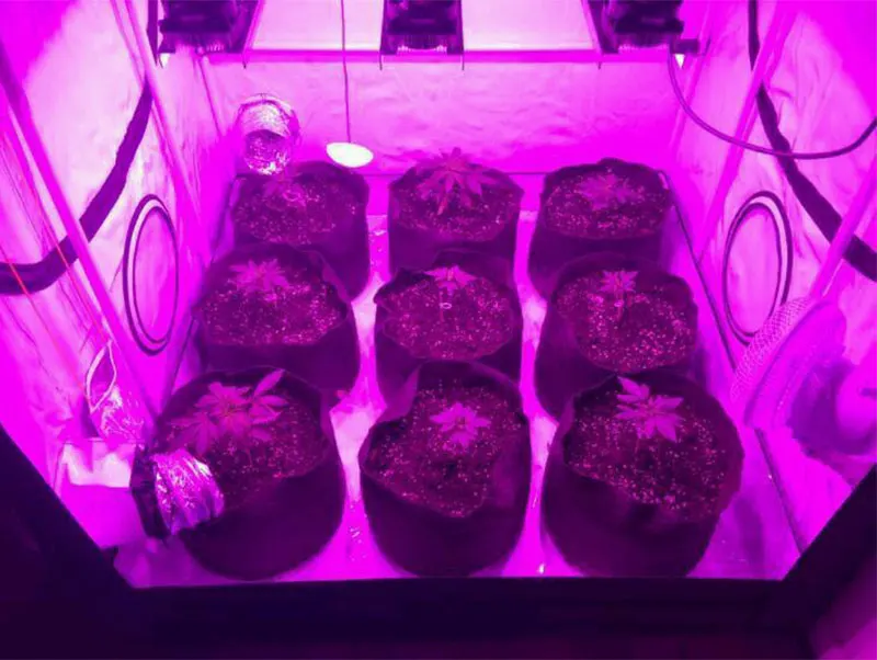 COB_11