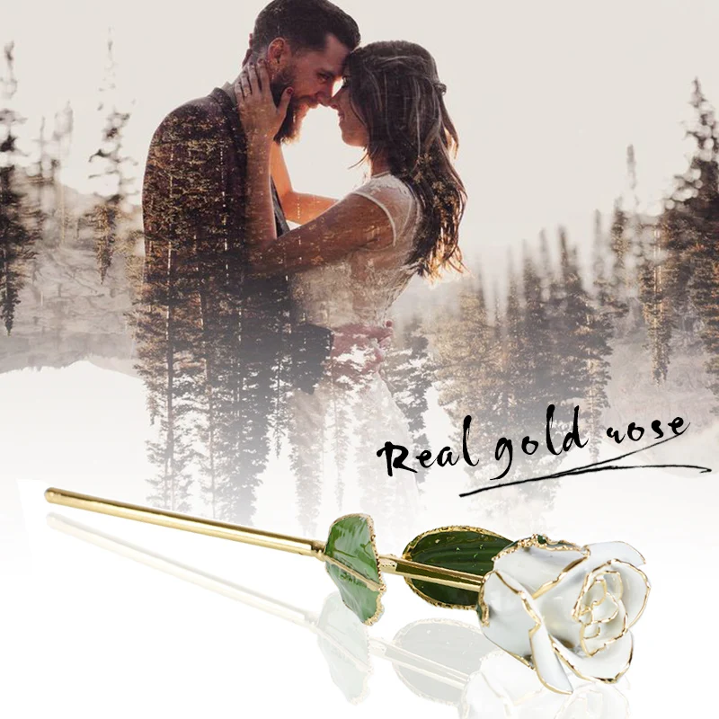 WR Beauty Flower 24k Gold Plated Rose Flower Best Gift For Valentine's Day Artificial Flower Lover's Flower For Christmas
WR Beauty Flower 24k Gold Plated Rose Flower Best Gift For Valentine's Day Artificial Flower Lover's Flower For Christmas