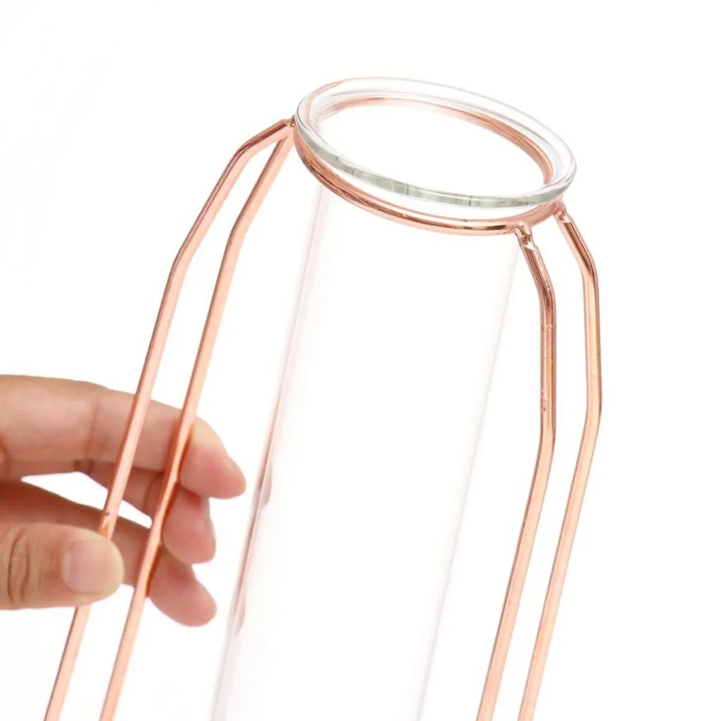Glass Hydroponic Plant Water Flower Vase with Iron Stand for DIY Art Decoration Creative Gifts