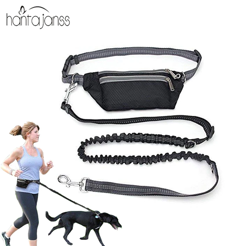 Dogs Leash Waist Pocket Waterproof Hands Free Multi Function Dog Belt Running Product Elasticity Adjustable Waist Dog Leashes
Dogs Leash Waist Pocket Waterproof Hands Free Multi Function Dog Belt Running Product Elasticity Adjustable Waist Dog Leashes