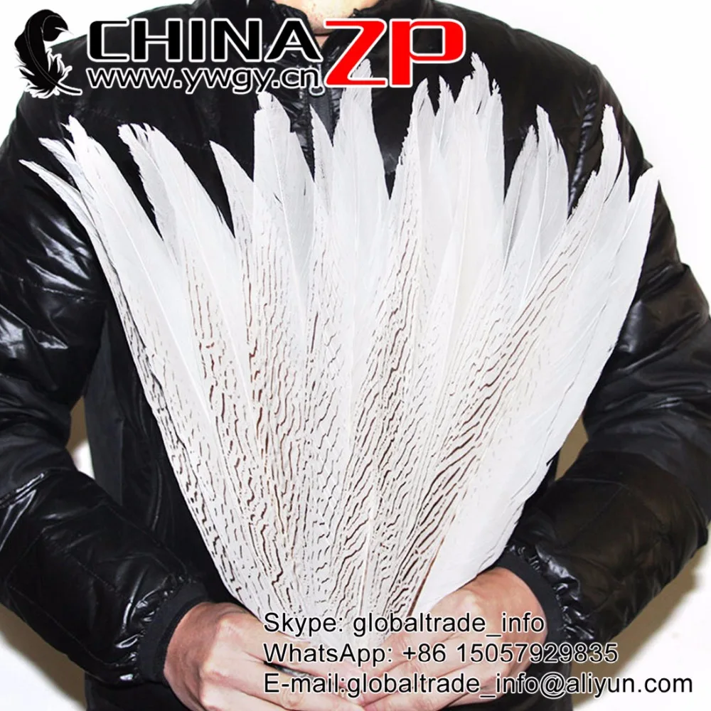 CHINAZP Pheasant Feathers 50pcs/lot 35~40cm(14~16inch) White Bleached Silver Pheasant Tail Feather For Disny Carnival Costume
CHINAZP Pheasant Feathers 50pcs/lot 35~40cm(14~16inch) White Bleached Silver Pheasant Tail Feather For Disny Carnival Costume