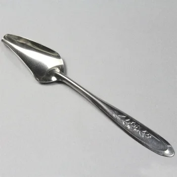 Bird Parrot Feeding Spoon Stainless Steel Water Milk Powder Feeder Spoons Bird Supplies
Bird Parrot Feeding Spoon Stainless Steel Water Milk Powder Feeder Spoons Bird Supplies