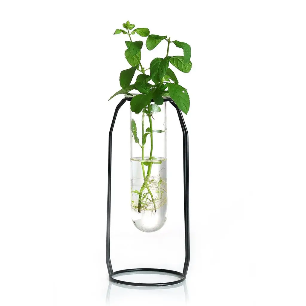Glass Hydroponic Plant Water Flower Vase with Iron Stand for DIY Art Decoration Creative Gifts