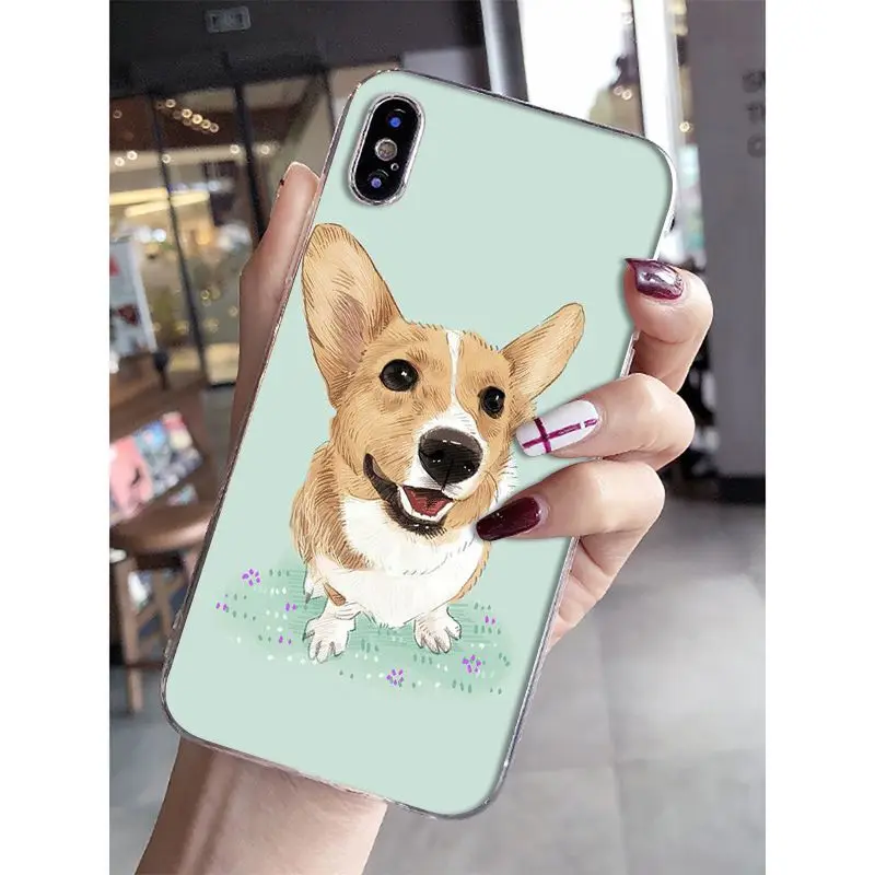 Cat Cartoon Cute Mouse Pig Cats Dog